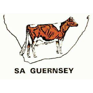 SA Guernsey